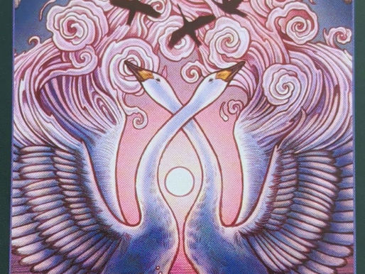 Love Fiercely
