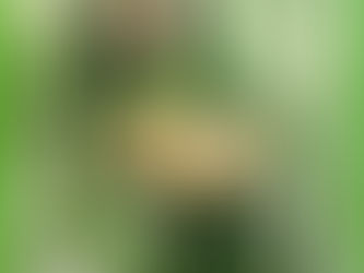 Grief Is Your Gateway to Love