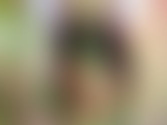 Let Your Heart Be Your Guide