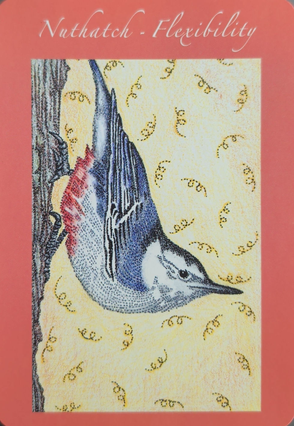 Flex Your Adaptability Muscles