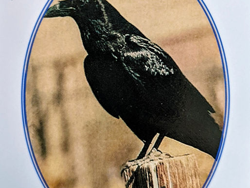 Magically Shift Your Life