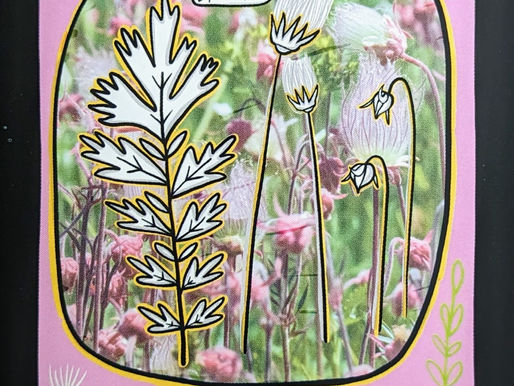 Free Your Mind (And The Rest Will Follow)