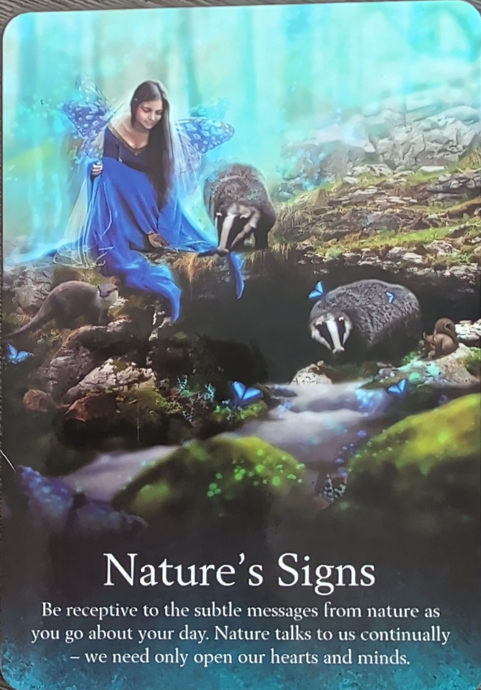 Seek Natural Connection