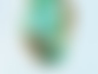 Trust Trumps Control