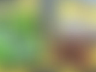 Fly Free With Self Authority