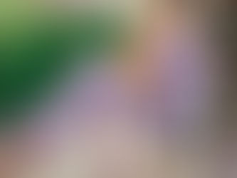 Cultivate Your Gratitude