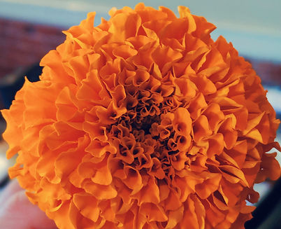 2019-07-26 06.22.15 2.jpg