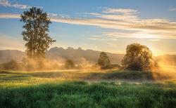 nature-3787200_1920.jpg