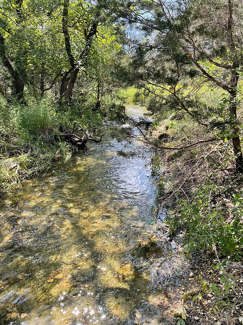 seasonal creek.jpeg