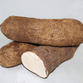 IGNAME GROSSE CAILLE