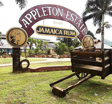 DISTILLERIE APPLETON, JAMAÏQUE