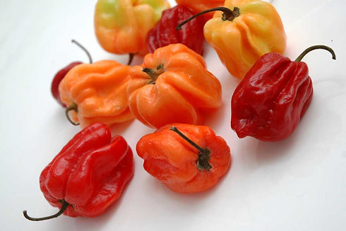 Piment Antillais