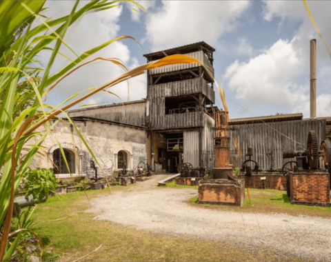 DISTILLERIE BIELLE, GUADELOUPE