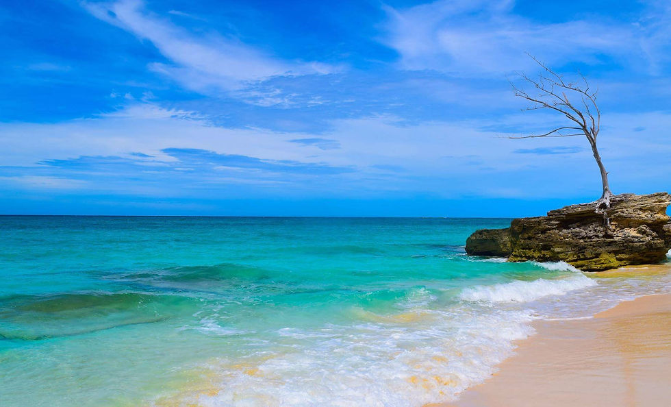 Plage Radio Beach Bimini - Bahamas