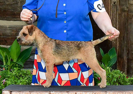 Frankie-London crop.jpg
