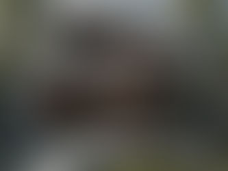 الأشكال الخرسانية المنحنية في الفلل