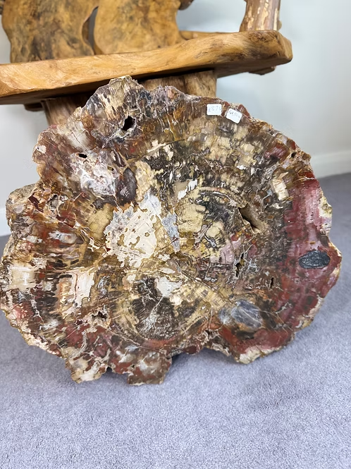 Petrified wood crystal in Penny King's showroom