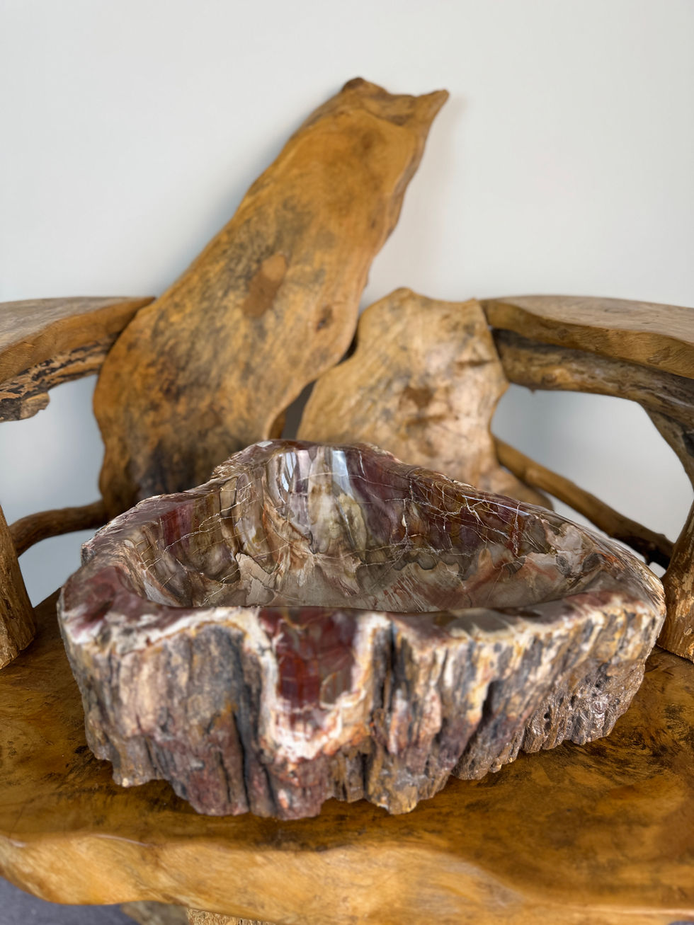 Thumbnail: Large Petrified Wood Bowl