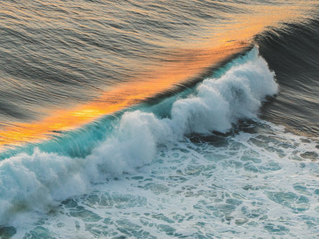 時勢牧言:逆流下牧職衝擊