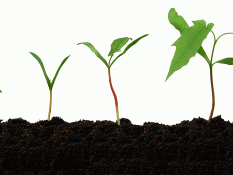 時勢牧言:探討青崇人數在反修例運動期間逆勢回升的現象(下)