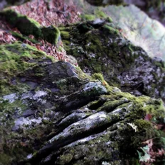 artecamarillo (16).webp