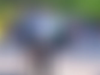 Marathon de Paris, "bis repetita" (03 avril 2022)