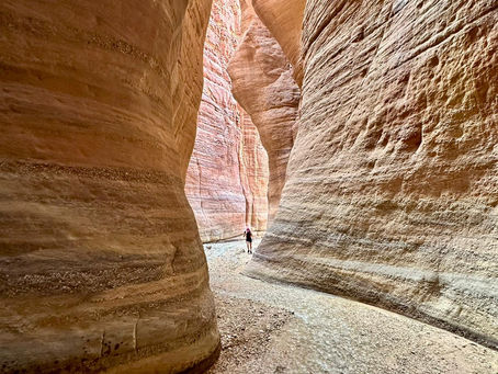 RAIDLIGHT DESERT TROPHY 2024 * Episode 2