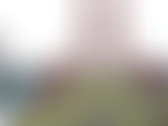 Semi de Lisbonne (17 mars 2019)