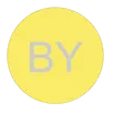 Bright Yellow