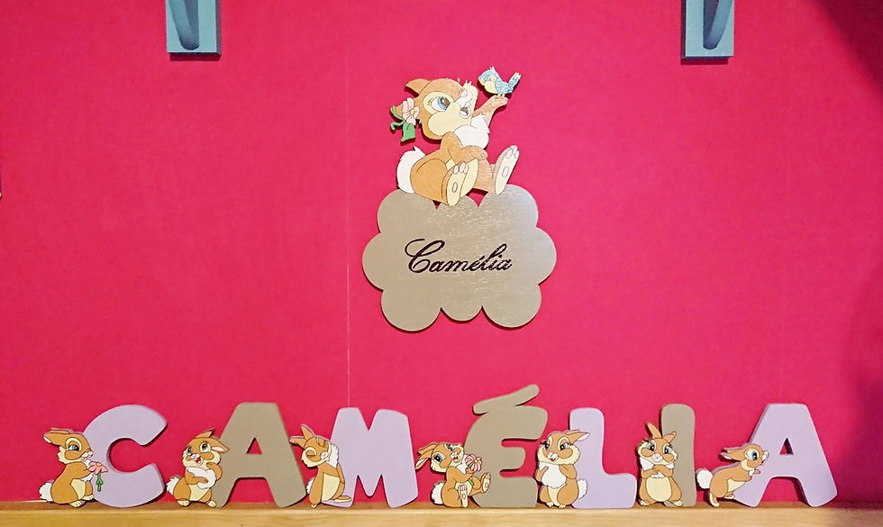 Miniature : lettres en bois Miss bunny pour constituer le prénom de bébé couleur personnalisable