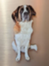 Magnet personnalisé en bois découpé à la main suivant la silhouette d'une photo de chien