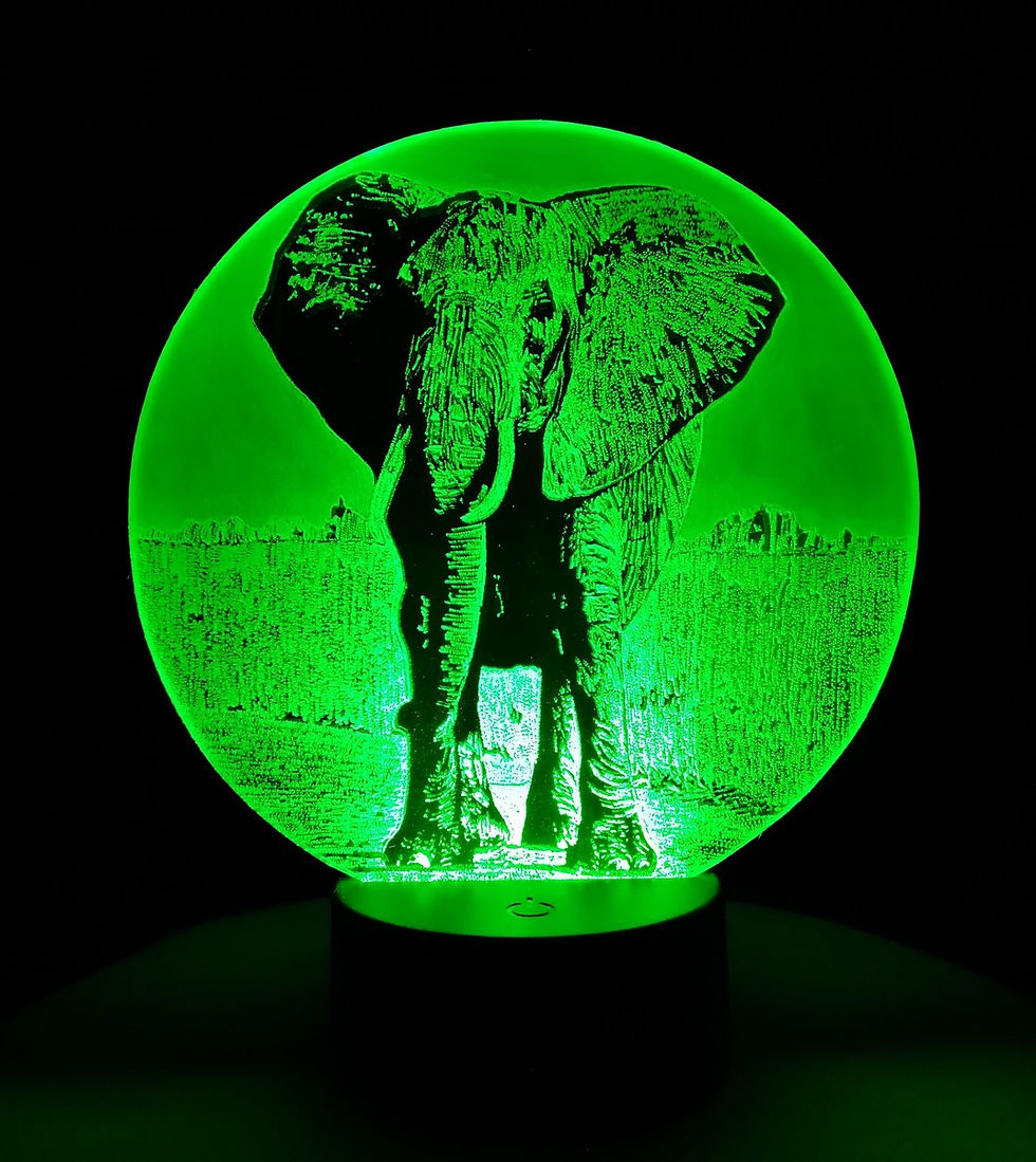 lampe led éléphant 7 couleurs pour chambre enfant allumée de couleur verte