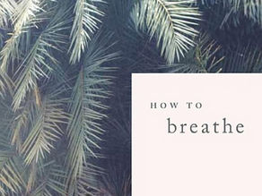 Book Review | How to Breathe