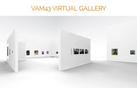 vam virtual.jpg