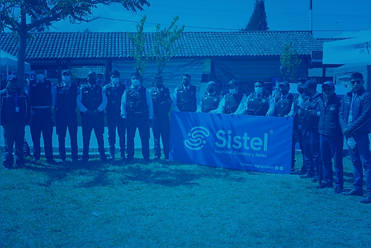 SISTEL EQUIPO AZUL_Mesa de trabajo 1.png