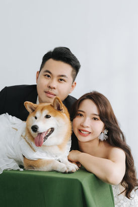 帅气的新郎新娘和柴犬,婚纱照,背景白色,前景绿色桌布。