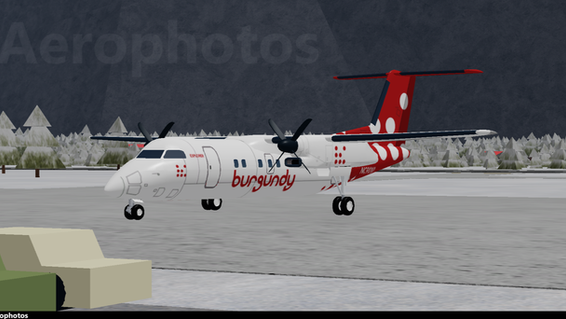 A Burgundy Airlines Dash 8 Q100 registered NC9010 parked at Asgard Regional Airport.