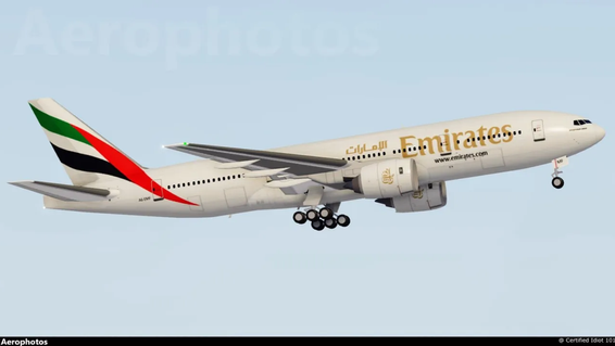 A6-EMF