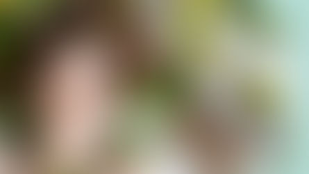 What is the metabolic balance ® programme?