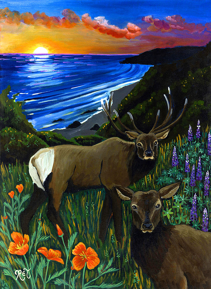 Elk Sunset