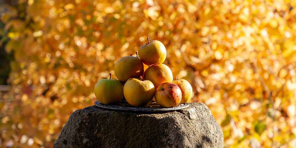 Transition to Stillness