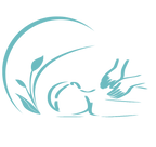 62.png