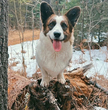 FullSizeRender_VSCO (2).jpg
