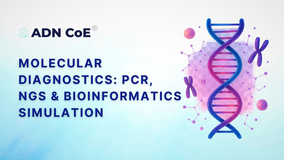 Continuing Medical Education (CME) programs designed for healthcare professionals, featuring expert-led learning, current cli
