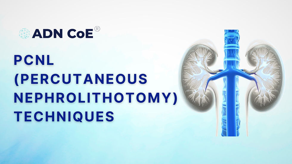 PCNL (Percutaneous Nephrolithotomy) Techniques
