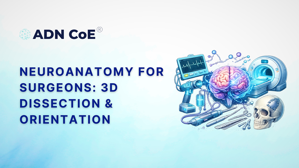 Neuroanatomy for Surgeons: 3D Dissection & Orientation