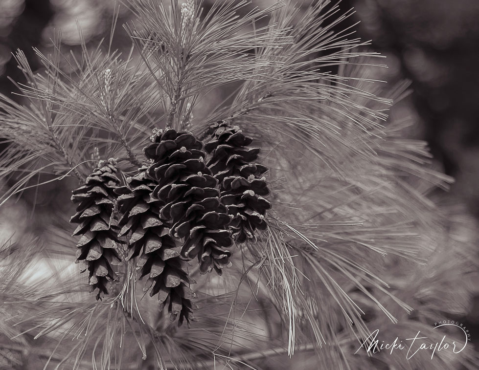 Untitled-3