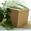 Miniature : Urne Pliable Kraft