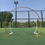 Miniature : Arc en rond en métal double Couleurs Blanc ou dore