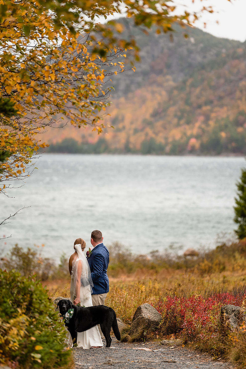 elopement at Jordan Pond in Acadia National Park